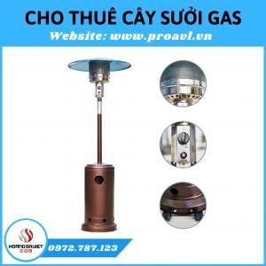 Cho Thuê Cây Sưởi Ngoài Trời An Toàn | Hà Nội