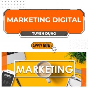 Tuyển Nhân Viên Marketing Digital Làm Việc Tại Quận Bình Tân - Tp.hcm