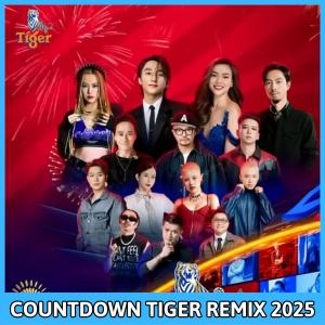 SƠN TÙNG M-TP | COUNTDOWN TIGER REMIX 2025 – 10 NĂM GẦM VANG BẢN LĨNH SƠN TÙNG M-TP | COUNTDOWN TIGER REMIX 2025 – 10 NĂM GẦM VANG BẢN LĨNH