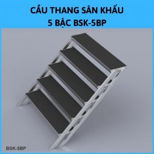 Stage Stairs 5 Steps Bsk-5Bp