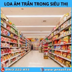 Installing the Best Supermarket Sound System and Supermarket Speakers Installing the Best Supermarket Sound System and Supermarket Speakers