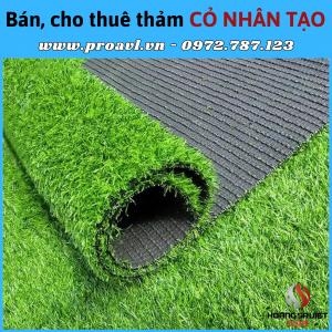 Event Red Carpet Sales & Rental in Hanoi Event Red Carpet Sales & Rental in Hanoi