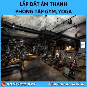 Modern Gym, Yoga, Fitness Room Sound Installation