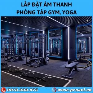 Modern Gym, Yoga, Fitness Room Sound Installation